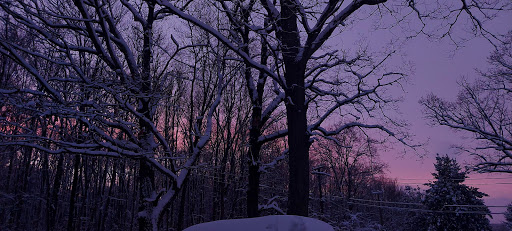 Computer Repair Service «Reliable Computer Repair», reviews and photos, 13 Brook St, Seymour, CT 06483, USA