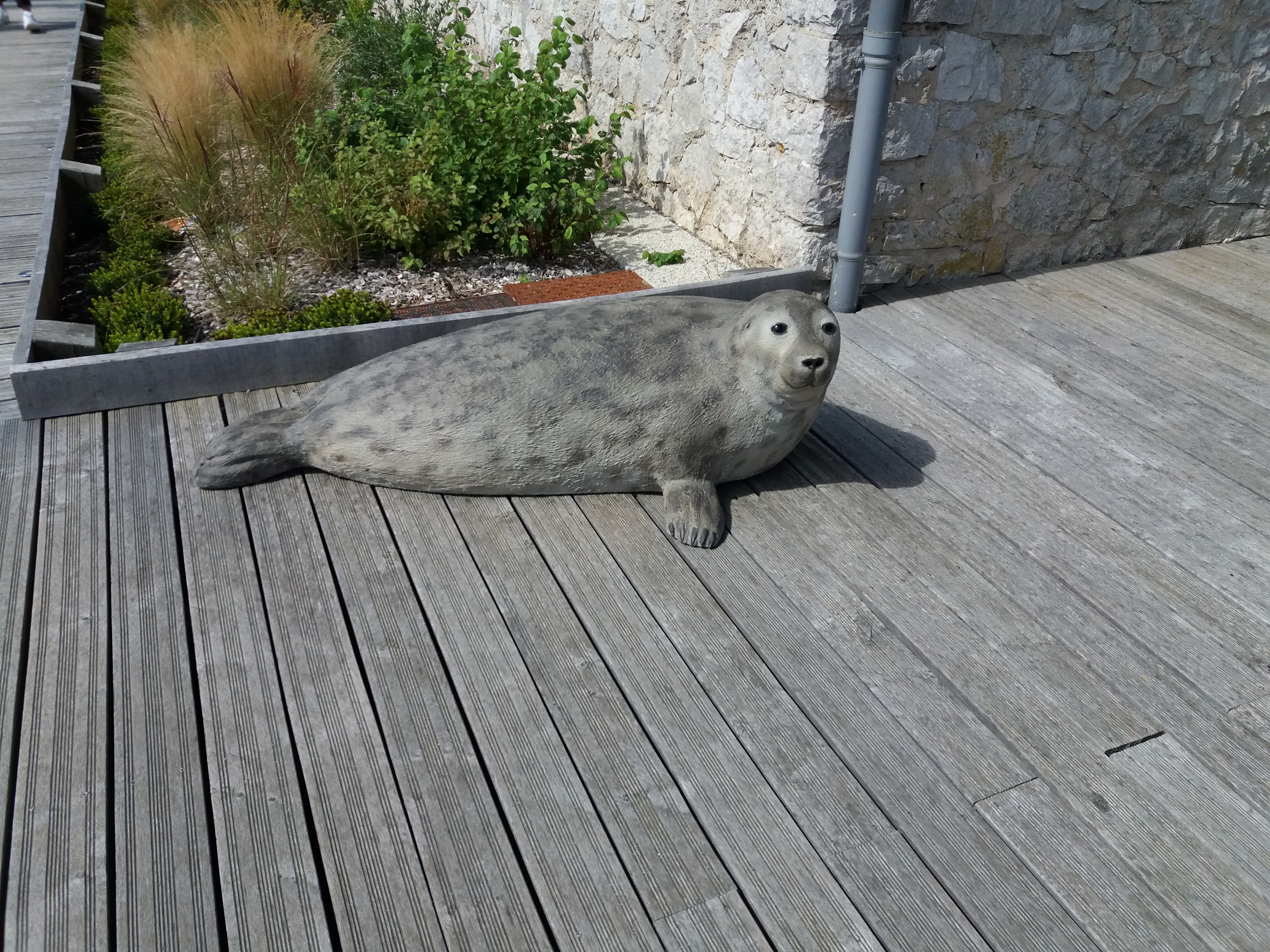 Photo n° 3 de l'avis de Herman.o fait le 13/08/2017 à 11:10