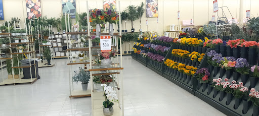 Craft Store «Hobby Lobby», reviews and photos, 1422 E Dixie Dr, Asheboro, NC 27203, USA