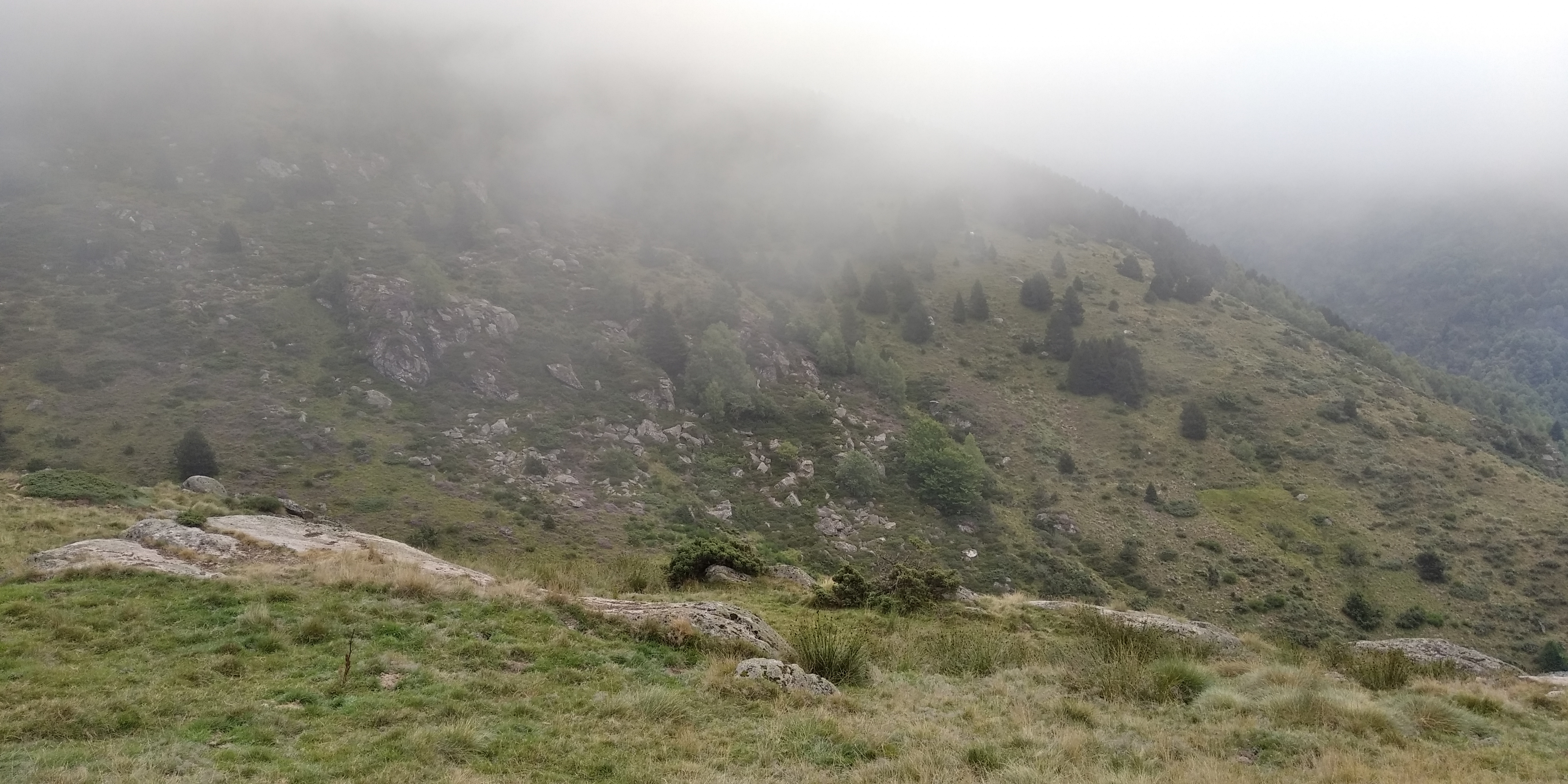 Photo n° 5 de l'avis de Mïo.e fait le 23/08/2021 à 13:54