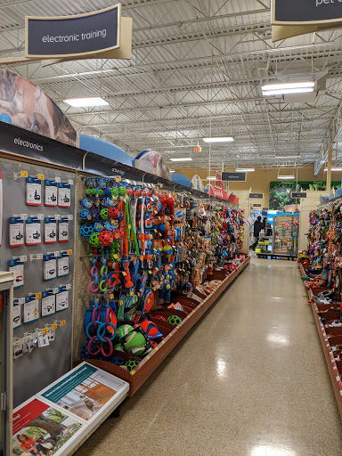 Pet Supply Store «PetSmart», reviews and photos, 3335 Cobb Pkwy NW #400, Acworth, GA 30101, USA