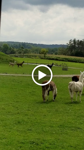 Restaurant «Hidden Valley Animal Adventure», reviews and photos, 2887 Royce Rd, Varysburg, NY 14167, USA