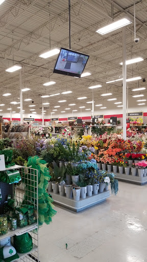 Craft Store «Michaels», reviews and photos, 9470 W Northern Ave, Glendale, AZ 85305, USA