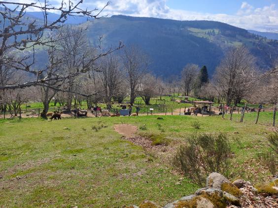 Photo n° 9 de l'avis de Alexis.u fait le 20/04/2023 à 09:57