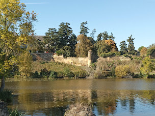 Photo n°20 de Etang De Passavant à Passavant-sur-Layon ()