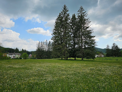 Hobby Park - Altipiani di Arcinazzo Via Giacomo Paolucci Di Calboli, 5, 00020 Altipiani di Arcinazzo RM, Italia