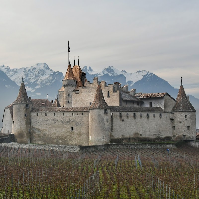 Musée de la vigne,du vin, de l'étiquette