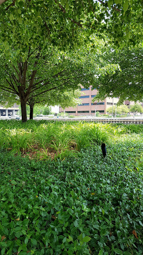 History Museum «Harley-Davidson Museum®», reviews and photos, 400 W Canal St, Milwaukee, WI 53201, USA