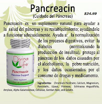 Divina Life - Photo 5 - Car repair in Los Angeles, CA, East Los Angeles