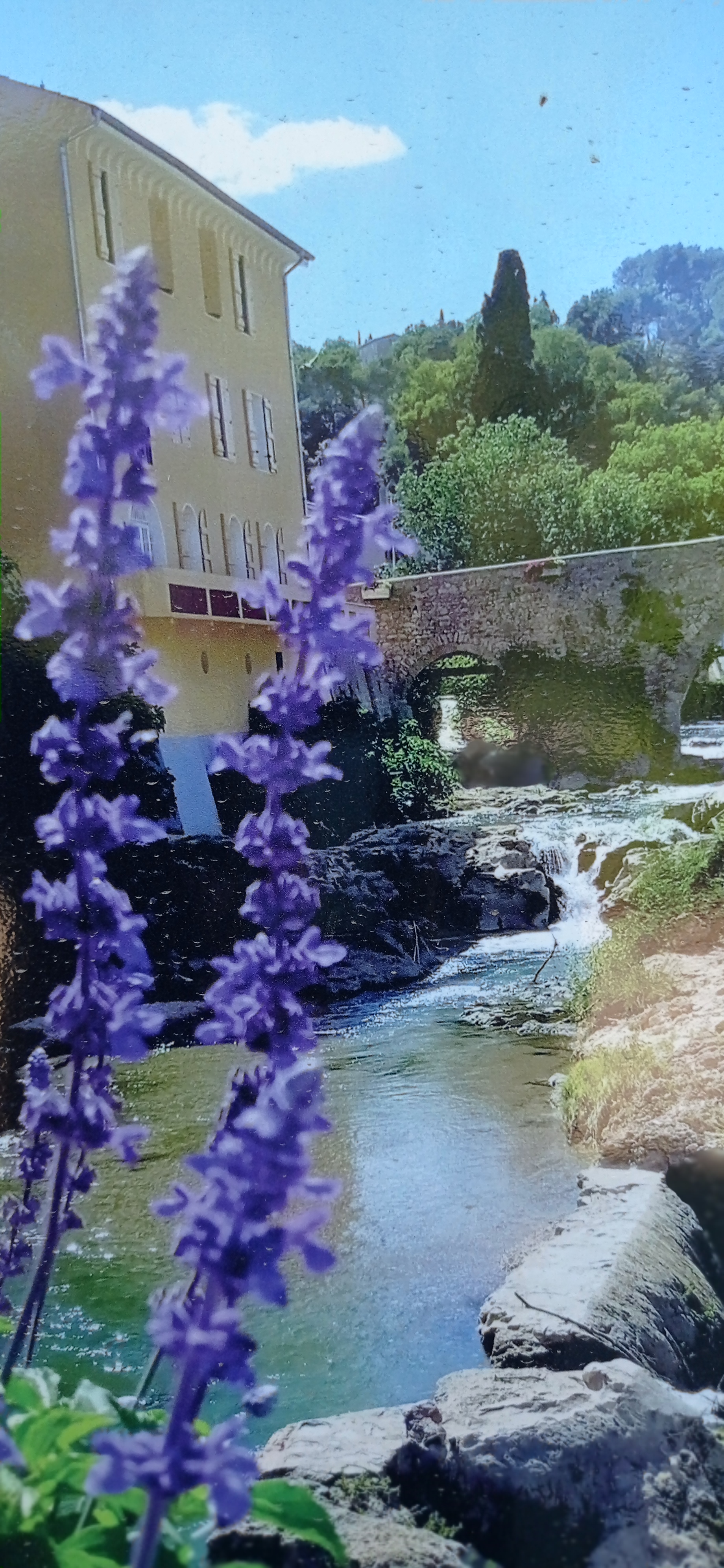 Photo n° 8 de l'avis de Laurent.u fait le 05/08/2021 à 14:47
