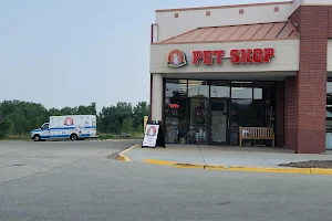 What's In The Bowl Pet Shop image