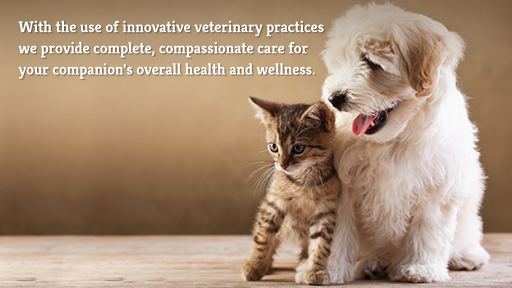 1249 W Broad St, Falls Church, VA 22046, USA