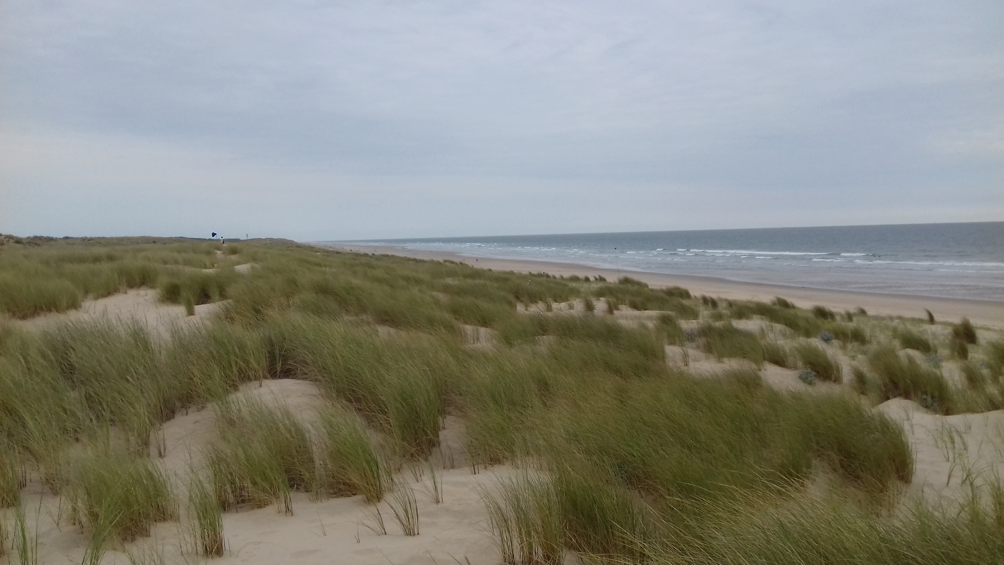 Photo n° 3 de l'avis de C..o fait le 05/08/2019 à 05:20