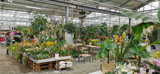 site_photo3