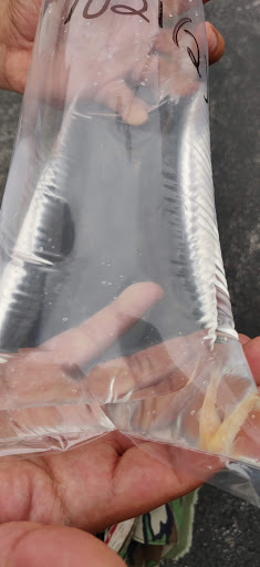 Pet Store «Pet Supermarket, Inc.», reviews and photos, 2446 N University Dr, Coral Springs, FL 33065, USA