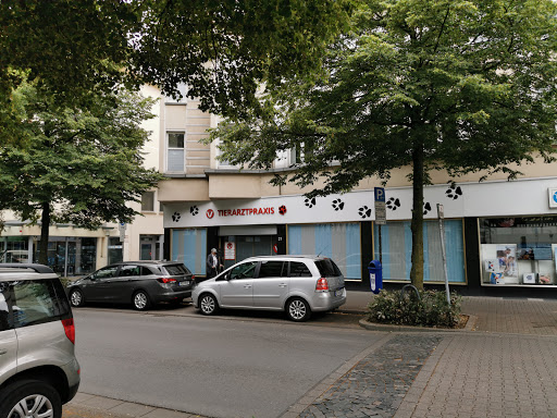 Rafael Melner-Biniszkiewicz unter Gelsenkirchen, 