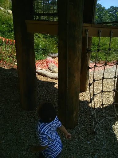 Park «Chastain Memorial Park», reviews and photos, 140 W Wieuca Rd NW, Atlanta, GA 30342, USA