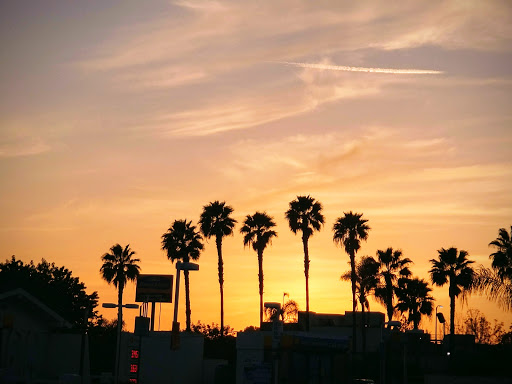 Shoe Store «Shoe City - Fullerton», reviews and photos, 1604 S Harbor Blvd, Fullerton, CA 92832, USA