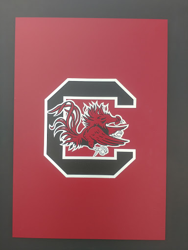 Stadium «Williams-Brice Stadium», reviews and photos, 1125 George Rogers Blvd, Columbia, SC 29201, USA