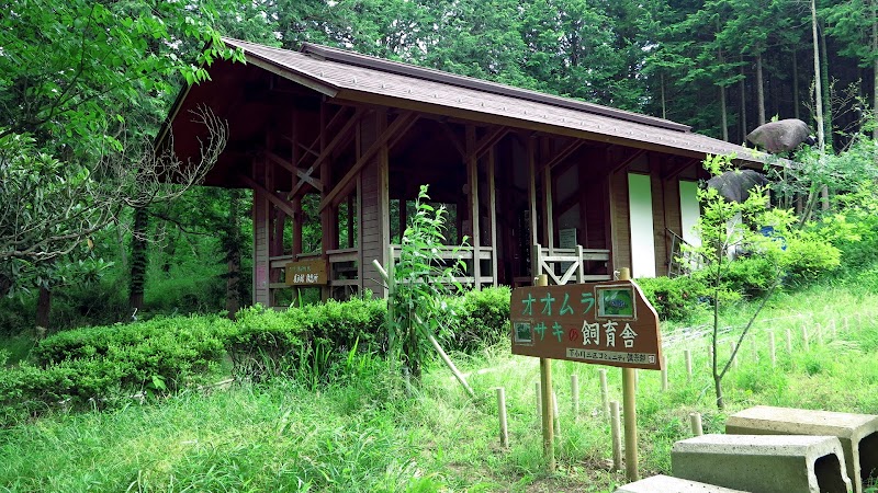 カタクリとオオムラサキの林 展示館兼休憩所