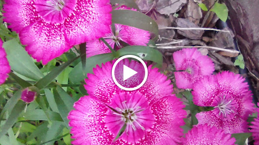 Non-Profit Organization «Lost River Cave», reviews and photos, 2818 Nashville Rd, Bowling Green, KY 42101, USA