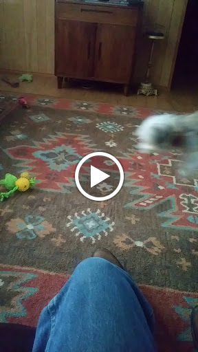 Home Goods Store «Dollar General», reviews and photos, 1220 Pioneer Rd, Mesquite, TX 75149, USA