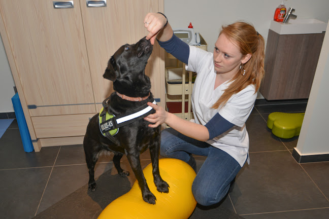 Beoordelingen van Hydro-Fysio voor honden Chelsea Cauwenbergh in Charleroi - Fysiotherapeut