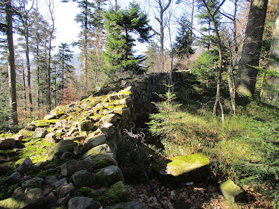 Ruines du Château du Petit-Ringelstein à Oberhaslach