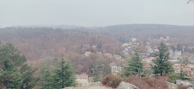 Forêt de Chatel à Châtel-Guyon