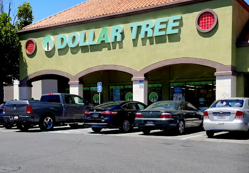 Dollar Store «Dollar Tree», reviews and photos, 2415 San Pablo Dam Rd #250, San Pablo, CA 94806, USA