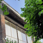 Photo n°5 de l'avis de Barbara.a fait le 27/06/2022 à 14:39 sur le  Old River à Vignola