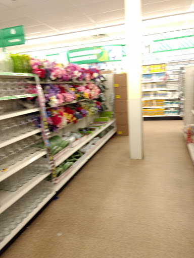 Dollar Store «Dollar Tree», reviews and photos, 2279 N 2nd St, Millville, NJ 08332, USA