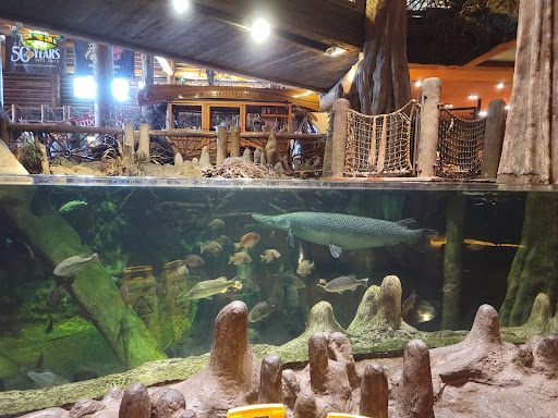 Sporting Goods Store «Bass Pro Shops», reviews and photos, 1935 S Campbell Ave, Springfield, MO 65807, USA