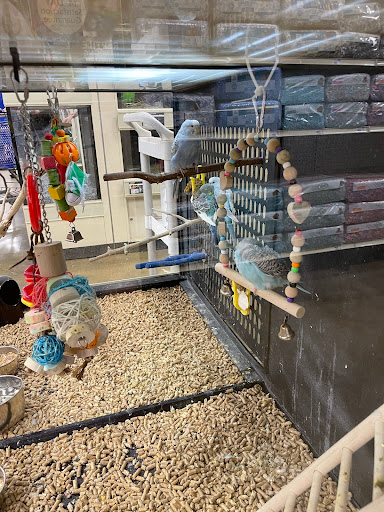 Pet Supply Store «PetSmart», reviews and photos, 1140 W Elliot Rd, Tempe, AZ 85284, USA