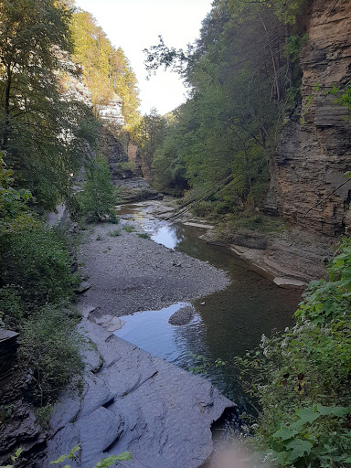 Tour Agency «Experience! The Finger Lakes», reviews and photos, 501 Warren Rd, Ithaca, NY 14850, USA