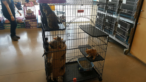 Pet Supply Store «Petsense Union City», reviews and photos, 1401 W Reelfoot Ave, Union City, TN 38261, USA