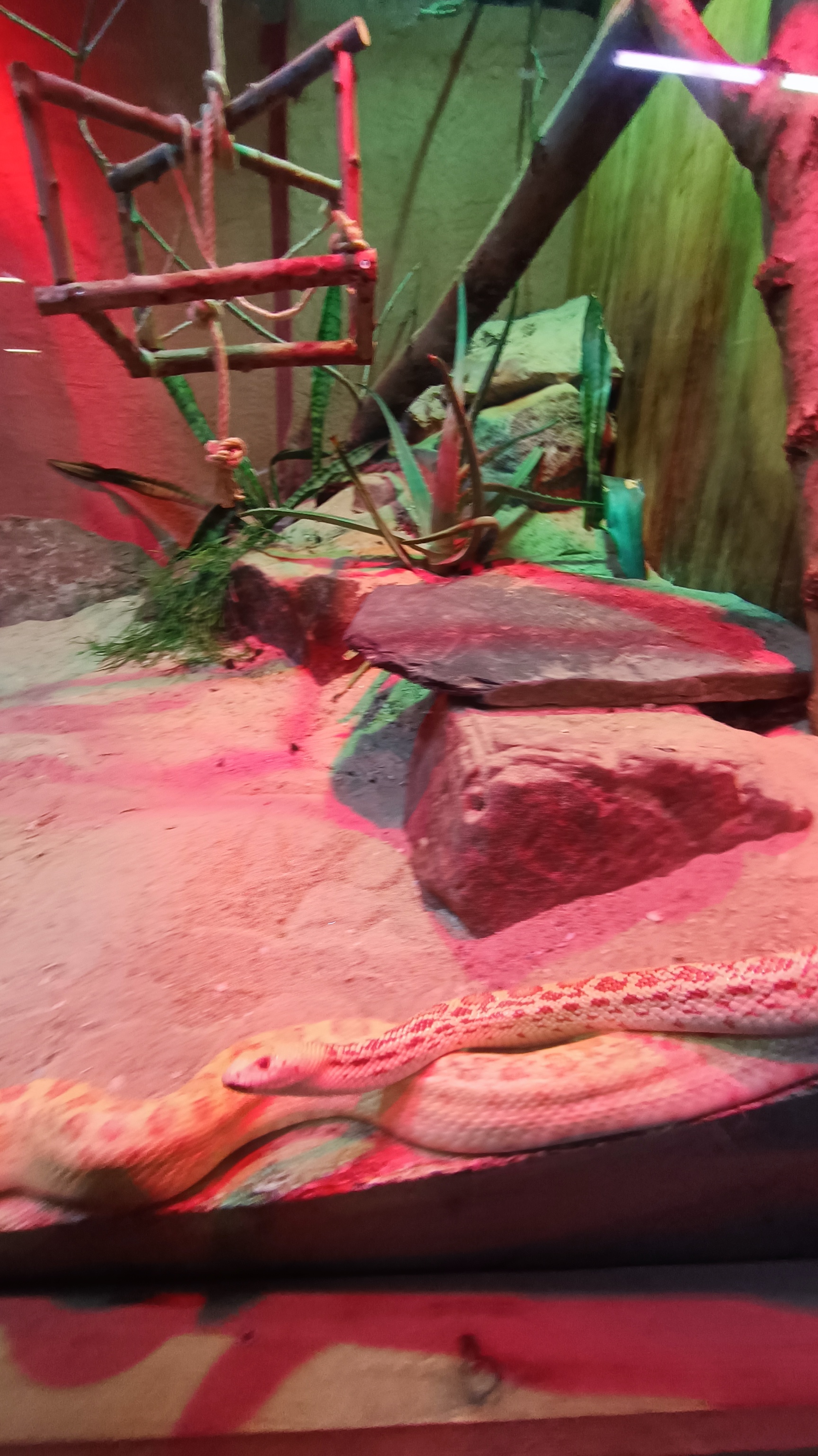 Photo n° 7 de l'avis de Mike.O fait le 25/02/2023 à 09:51