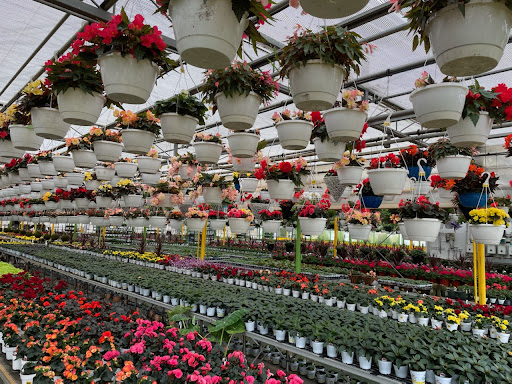 Florist «Dutch & Olgas Greenhouse», reviews and photos, 1285 NJ-36, Hazlet, NJ 07730, USA