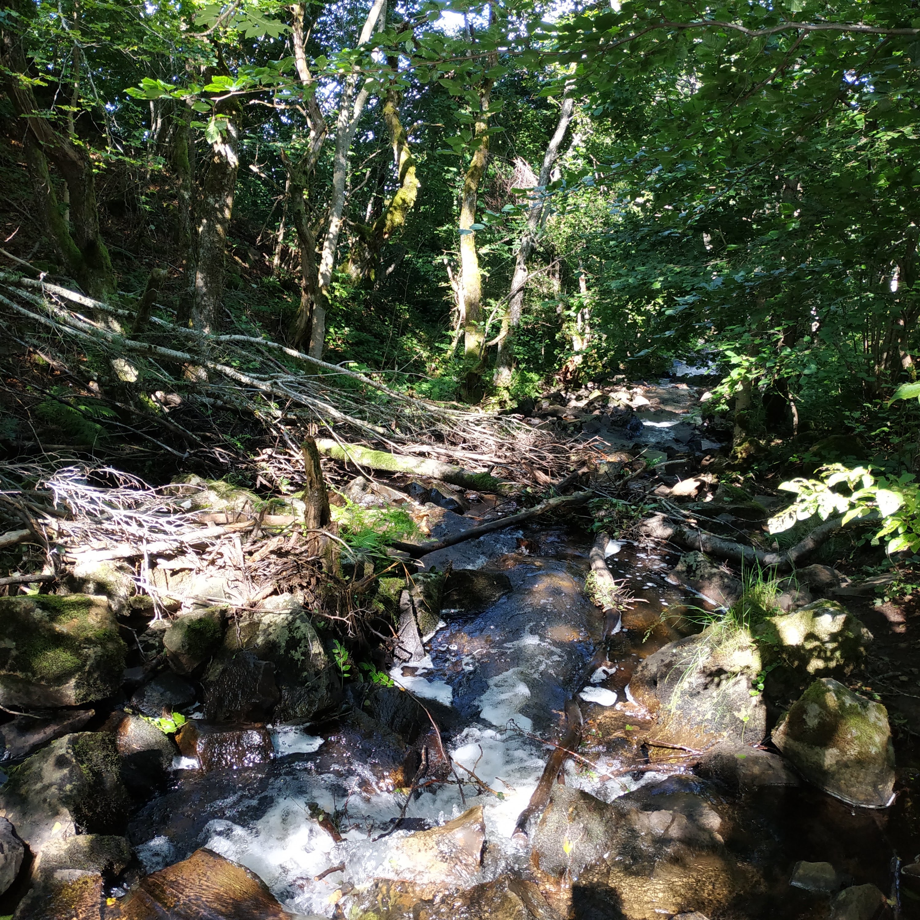 Photo n° 2 de l'avis de Maëla.a fait le 30/07/2021 à 06:16