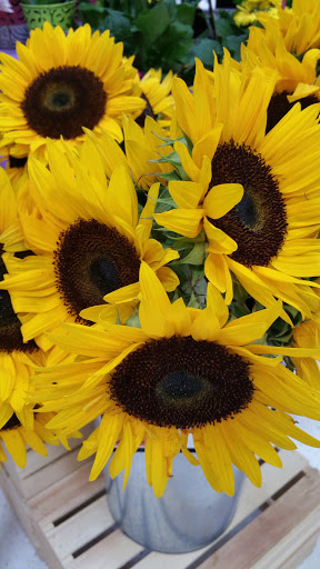 Grocery Store «Stop & Shop», reviews and photos, 575 Greenwich Ave, Warwick, RI 02886, USA