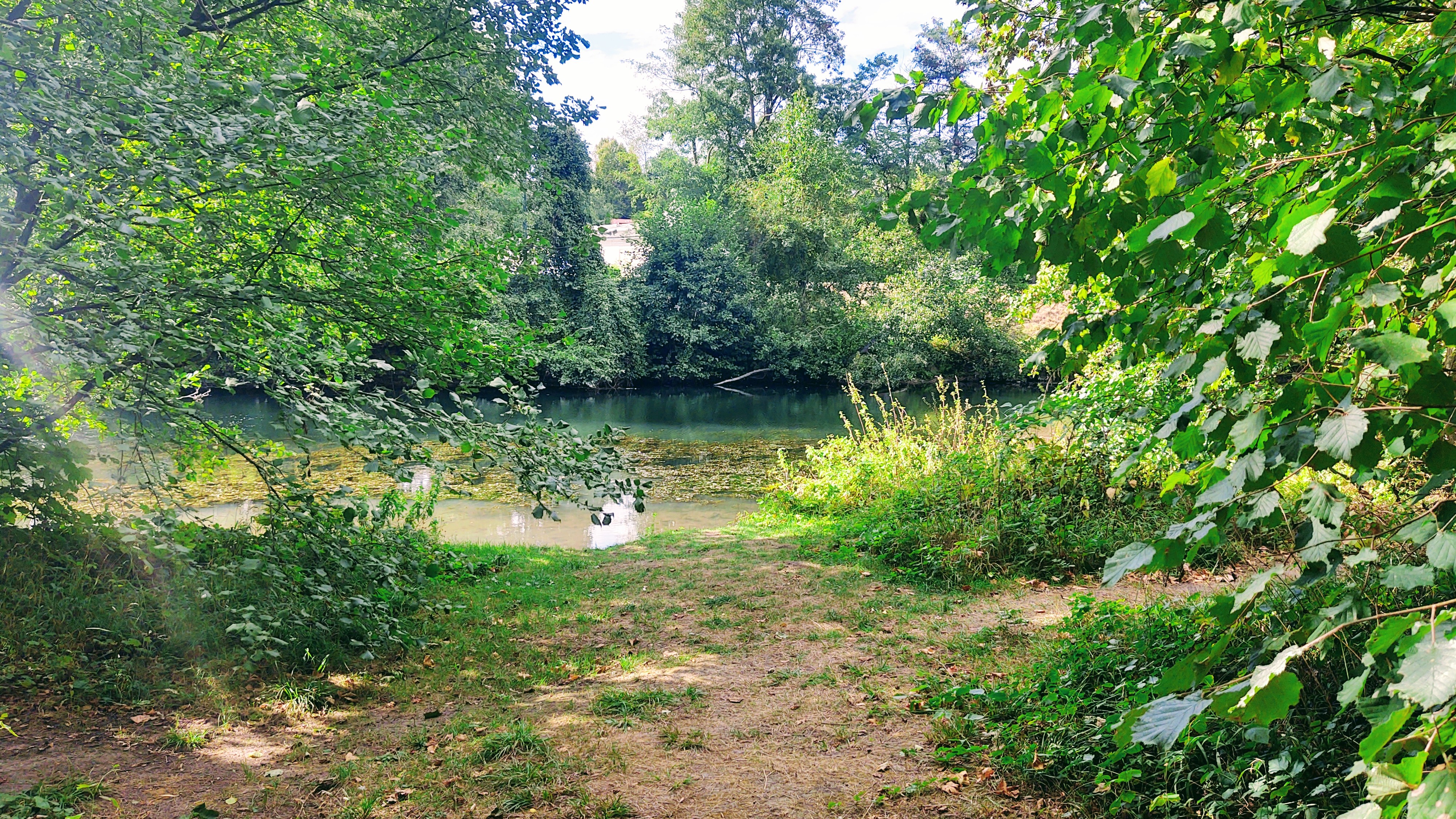 Photo n° 13 de l'avis de Polski.l fait le 02/09/2020 à 14:34