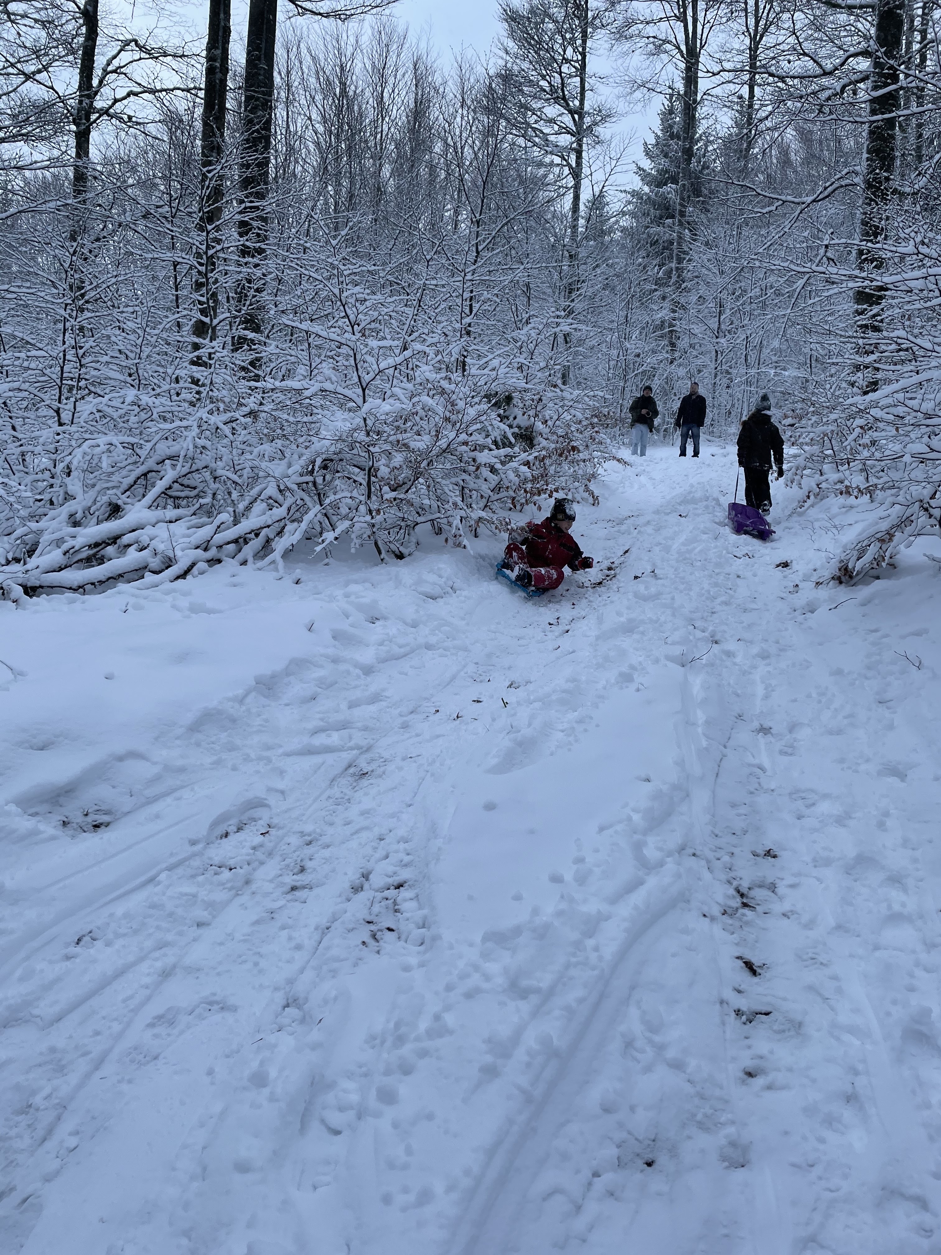 Photo n° 2 de l'avis de Sébastien.u fait le 12/01/2021 à 20:34