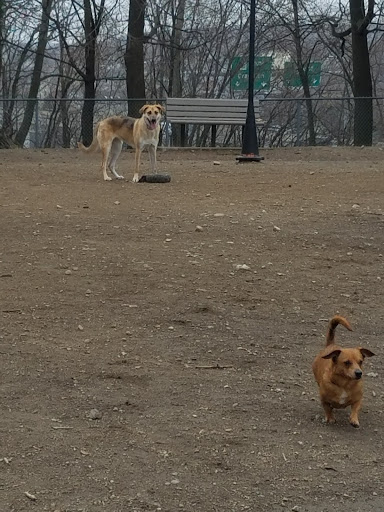 Dog Park «Waterman St. Dog Park», reviews and photos, 320 Waterman St, Providence, RI 02906, USA