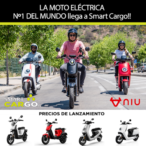 Electromovilidad Smart Cargo - Concesionario de automóviles