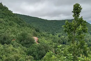 Daringbadi local Hill Forest (Scenic Views) image