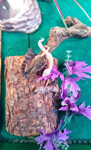 Pet Store «Planet Pet», reviews and photos, 1093 W Eads Pkwy, Lawrenceburg, IN 47025, USA