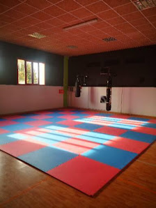 Asd Tiger Dojo Kickboxing Via Veneto, 58a, 46042 Castel Goffredo MN, Italia
