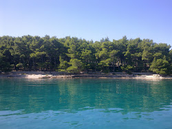 Paklena beach'in fotoğrafı çok temiz temizlik seviyesi ile