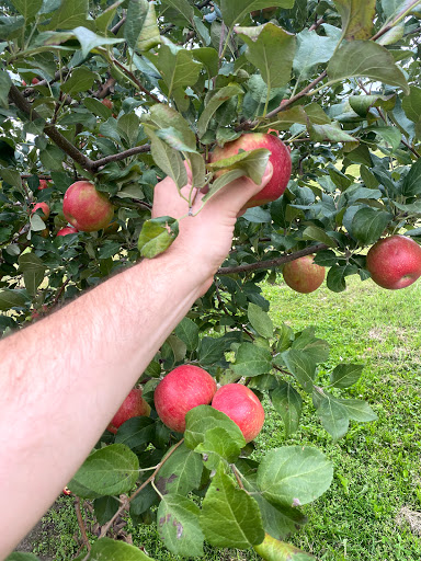 Winery «Autumn Harvest Winery and Orchard», reviews and photos, 19947 Co Hwy J, Chippewa Falls, WI 54729, USA
