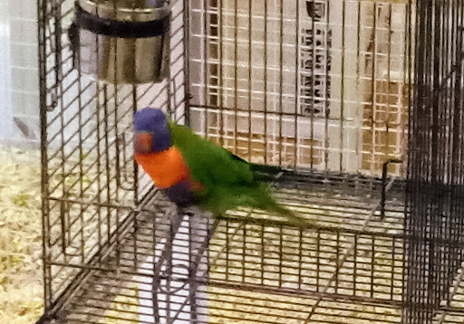 Shopping Mall «North Hanover Mall», reviews and photos, 1155 Carlisle St, Hanover, PA 17331, USA